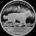 Полярный волк Полярный волк