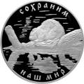 Речной бобр Речной бобр