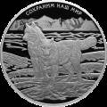 Полярный волк Полярный волк