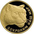 Снежный барс Снежный барс