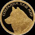Полярный волк Полярный волк