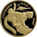 Снежный барс Снежный барс