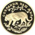 Амурский тигр Амурский тигр
