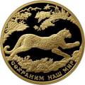 Переднеазиатский леопард Переднеазиатский леопард
