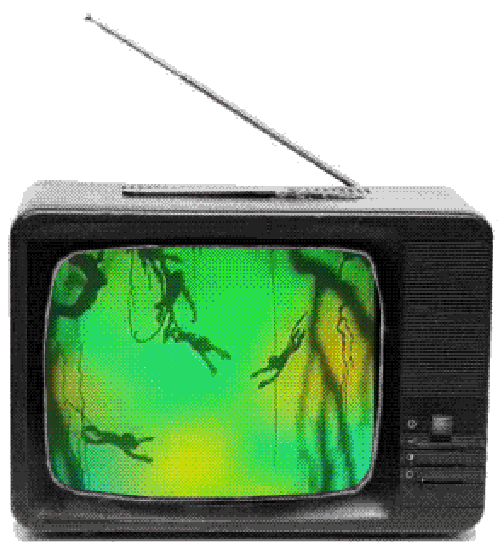 1271971254_vmire001.gif