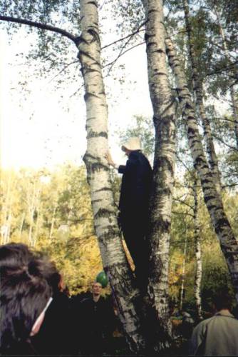 n_10_03.jpg