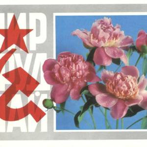 1973._mir_trud_maj.jpg