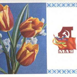 1978_3._1_maja.jpg