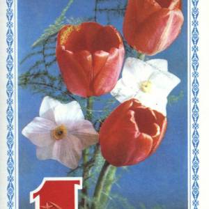 1977_2._1_maja.jpg