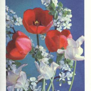 1977_3._s_prazdnikom_1_maja_.jpg