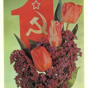 1981_3._1_maja.jpg