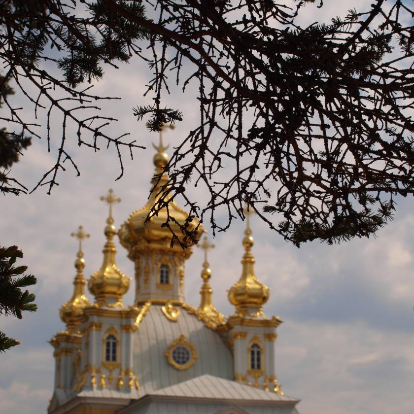 n5226739.jpg