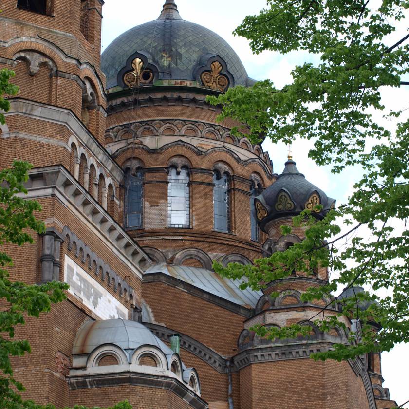n5248110.jpg