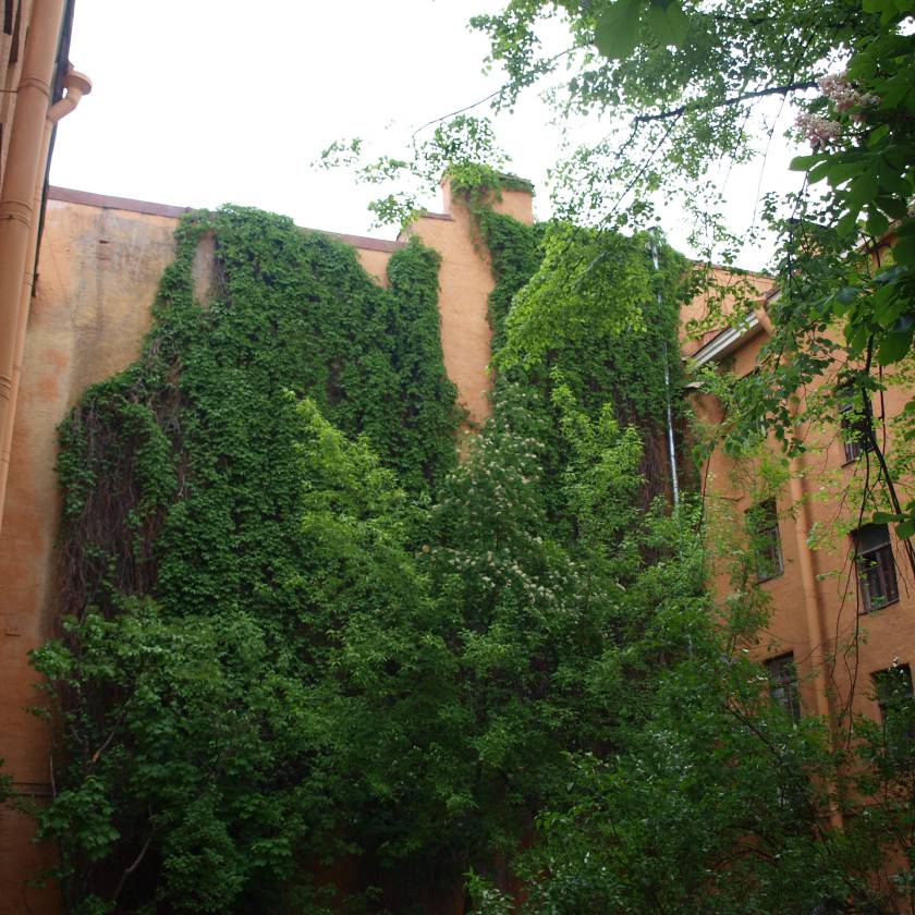 n5248330.jpg