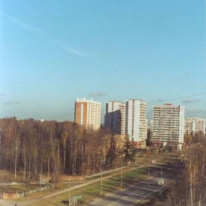 206.jpg