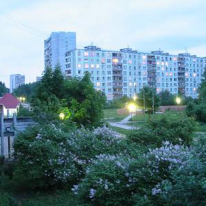 4450.jpg