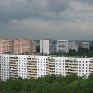 4463.jpg