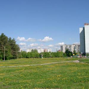 7028.jpg
