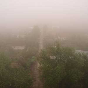 n5235339.jpg