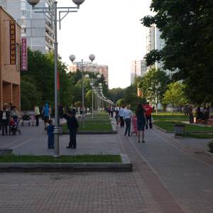 n6060890.jpg