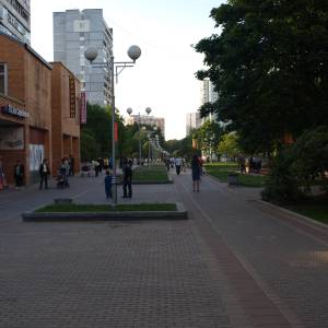 n6060891.jpg