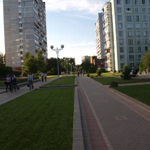 n6060897.jpg