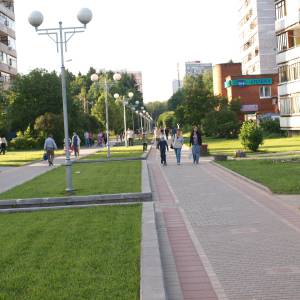 n6060899.jpg