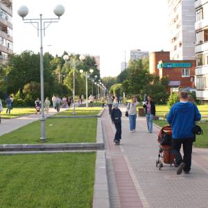 n6060900.jpg