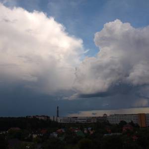 n7195500.jpg