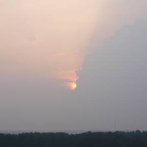 n8165131.jpg