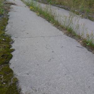 p1030032.jpg
