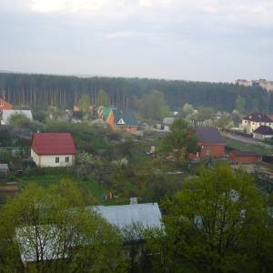 p1060872.jpg