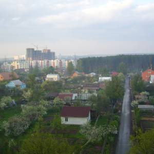 p1060873.jpg