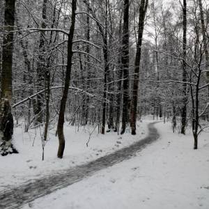 img_20131201_131056.jpg