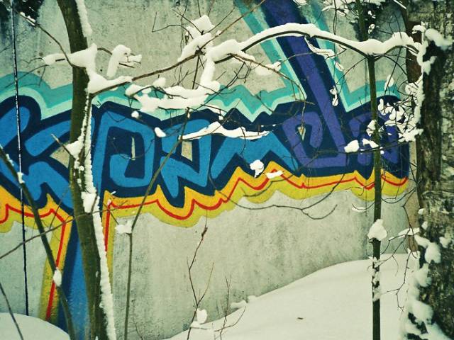 19984.jpg