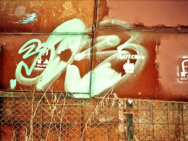 19991.jpg
