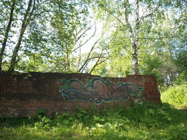 n6060851.jpg